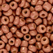 Seed beads 6/0 (4mm) Fired brick brown